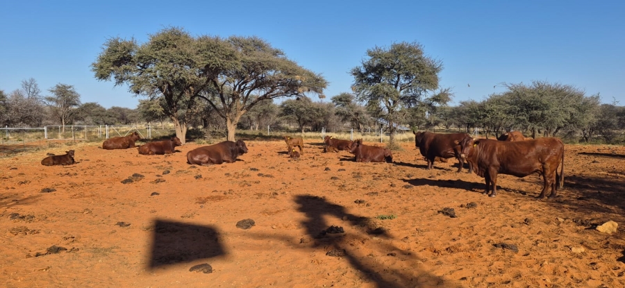 Commercial Property for Sale in Griekwastad Rural Northern Cape